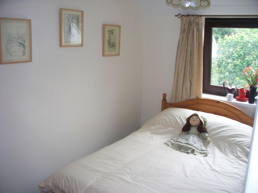 Stoke House Bed And Breakfast Stoke Rivers Oda fotoğraf